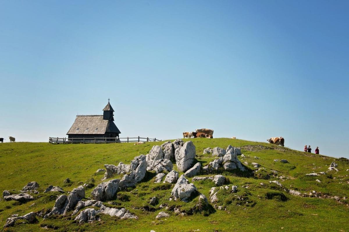 فيلا Koca Predilnica Velika Planina Kamniska Bistrica المظهر الخارجي الصورة