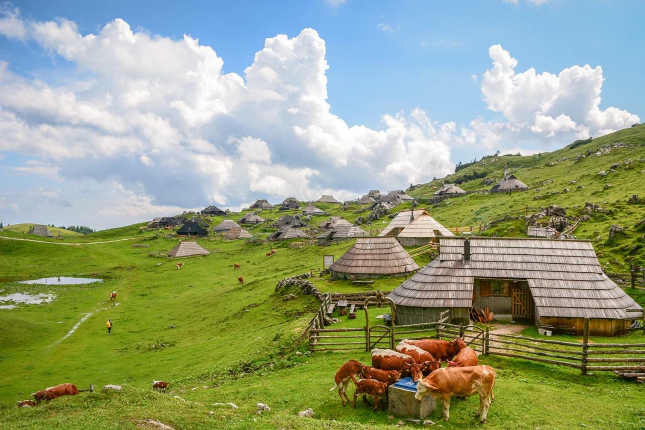 فيلا Koca Predilnica Velika Planina Kamniska Bistrica المظهر الخارجي الصورة